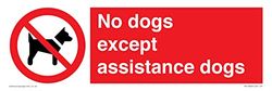 Panneau « No dogs except assistance dogs » - 300 x 100 mm - L31