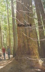 Synonyms and Antonyms Notebook
