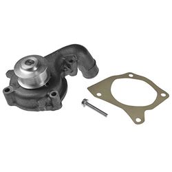 Blue Print ADM59142 Water Pump with seal and screw, pack of one