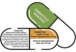 Simbiótico Nenúfar 30 cápsulas - Herbetom Bioserum | Mezcla de fermentos lácticos | Lactobacillus rhamnosus | Prebiótico flora intestinal