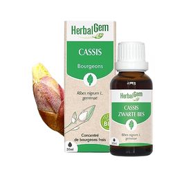 HERBALGEM - Macérât-Mère - Cassis Bio - Complément Alimentaire Gemmothérapie Concentrée - Extrait De Bourgeon Frais - Pour Articulations, Muscles - Vegan - 30 ml