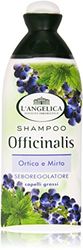 L'Angelica - Shampoo Seboregolatore Ortica E Mirto, Capelli Grassi - 250 Ml