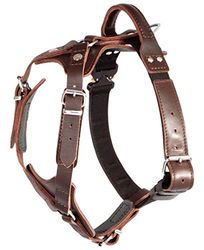 Dingo Gear Elite Hond Hadmade Harnas
