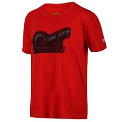 Regatta Unisex Kids Alvarado V' Active Printed T-Shirts/Polo's/Vesten