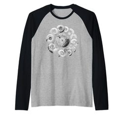 Fossil Hunter Fossil Hunting Paleontólogo Trilobite Camiseta Manga Raglan