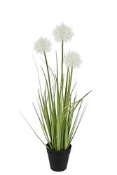 Flair Flower Pot de Pissenlit Herbe en, Polyester, Plastique, Blanc, 55 x 10 x 10 cm