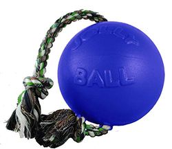 Jolly Pets Ball Romp-n-Roll Jouet pour Chien Bleu 20 cm
