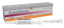 FATRO SAC Caniliver Pâte 2 Jerx15 ML