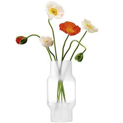LSA Mist Vaso H30 cm Parte Frost | 1 unità | Vetro soffiato e fatto a mano | MC10