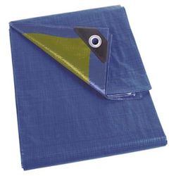 Perel 70 – 0208 Tarpaulin 2 x 8 m Blue/Green
