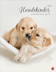 Monika Wegler Calendrier 2023 avec photos de chiots à fondre dans un grand calendrier mural avec portraits de chiens pour tous les fans du nez de fourrure.