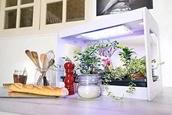 CLEOPATRE - CG1MV-1KC1 Kit Premium: kit Maison Verte Autonome avec LED HORTICOLE + Le Kit Recharge 1 Culture pour Le Cycle Scolaire 1