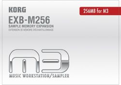 Korg EXB-M256 geheugen EXB 256 MB