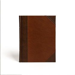 Holy Bible: Csb Notetaking Bible, Large Print Edition, Brown/Tan Leathertouch