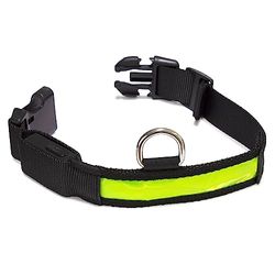 Arquivet - Collier Lumineux pour Chien LED Jaune - Taille L 48-60cm/2,5cm