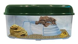 Namiba Terra 12082 Starter-Set, Habitat Box Wüste, Maxi, Flach, mit Kleiner FelshöhleKokoshöhle, Wüstenholz und Mini-Wassernapf, Spiderbowl, 59 x 46 x 29 cm, Gelb