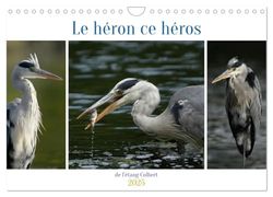 Le héron ce héros de l'étang Colbert (Calendrier mural 2025 DIN A4 vertical), CALVENDO calendrier mensuel: L'activité du héron cendré au bord d'un étang.
