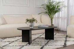 Dmora - Table Basse Parrano, Table Basse, Porte-revues pour canapé, Etagère de Salon, 119x60 h40 cm, Noir