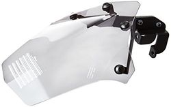 Puig 5658H Windshield Naked New Generation Sport, Smoke
