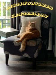Distinguished Gentleman Diary