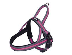 'Nobby 80614 – 15 Noruego Vajilla "variado Cuello bandas geschirre