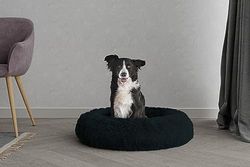 Italian Bed Linen Dreams Sogni e Capricci Pets husdjurssäng, mjuk polyester, petrolium, 70 x 70 cm