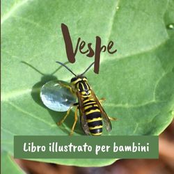 Vespe: Libro illustrato per bambini