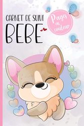 Carnet de Suivi Bebe 6-12 mois: Journal de Bord Bébé Fille - Cahier de suivi maternel Alimentation Croissance Soins Couches Dodos bain médicaments et notes - pages en couleur