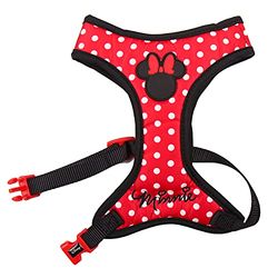 Cerdá Life'S Little Moments Arnes Deminnie Puppy's, officieel Disney-gelicentieerd product, 90 g