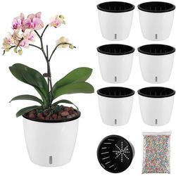 Planterhoma Vasi autoirriganti per piante da interno, 17 cm, confezione da 6 vasi per violette africane, con indicatore, vaso nero con fori di drenaggio, fioriere autoirriganti per orchidee, edera del