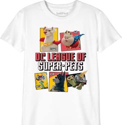 DC Comics Bosupetts004 Camiseta, Blanco, 12 años para Niños