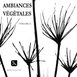 Ambiances végétales: Tome 2: 2/2