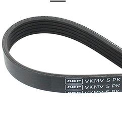 SKF VKMV 5PK1151 Courroie Multi-V