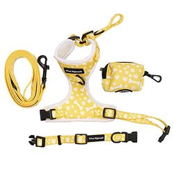 Paw Highness Ensemble Harnais, Collier, Laisse et Porte-Sac à déjections Canines en Forme de Patte et d'os Taille M