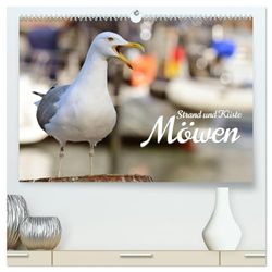 Strand und Küste - Möwen (hochwertiger Premium Wandkalender 2025 DIN A2 quer), Kunstdruck in Hochglanz: Herrliche Aufnahmen heimischer Seevögel, aufgenommen zwischen Rerik und Warnemünde.