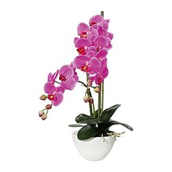 Gasper Kunstplant Phalenopsis in keramische schaal, kleur: paars, afmeting: 14,5 x 8,5 cm, 105055-80