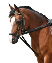 riemlussen, zwart pony