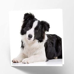 Maturi Lege wenskaart met afbeelding van Border Collie Dog