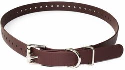 Educator, Collare per Cani in Biothane, Impermeabile, inodore, con Fibbia in Metallo e Anello a D, Regolabile per Una vestibilità Personalizzata, Fresco e Confortevole, per Cani di Taglia Piccola,