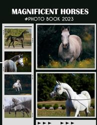 Magnificent Horses Photo Book: An Animals Picture And Photo Book Photo Albums For Kids, Adults With 30+ Quality Picture Inside Photobook To Relieve Stress And Get Creative