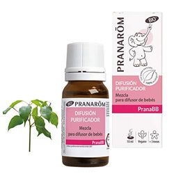 Pranarom Pranabb - Purificatore - Miscela per diffusori, Diffusione, 10 Millilitri