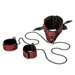 POSTURE COLLAR CON ESPOSAS