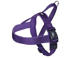 Nobby Classic Preno - Arnés Noruego (38-50 cm+36 cm/20-25 mm), Color Morado