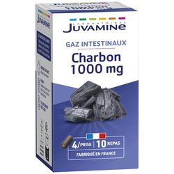 JUVAMINE Charbon Végétal 1000 Mg, Digestion, Ballonnements, Flatulences, Gaz, Aide à Réduire l'excès de Flatulences après un repas, Programme de 10 jours, 40 Gélules, Fabriqué en France