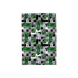 Character World Couverture Polaire Officielle Minecraft | Motif gribouillis réversible Double Face Super Douce et Chaude | Parfaite pour la Chambre, Le canapé, Les soirées Pyjama et Le Camping