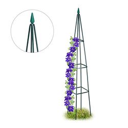 Relaxdays rankhulp piramide groot, vrijstaand, voor rozen, tomaten of wijndruiven, weervast,192 cm hoog, donkergroen