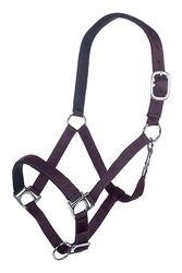 HKM Stars Funda Lila Warmblut