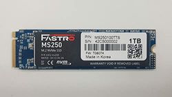 Mega Fastro MS250100TTS MS 250-1 TB Terrabyte M.2 NVMe interne SSD