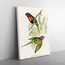 Red Collared Lorikeet Birds By Elizabeth Gould Vintage Canvas Wall Art Print Ready to Hang, Framed Picture for Living Room Bedroom Home Office Décor, 50x35 cm (20x14 Inch)