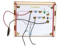 Sol Expert Funny Electronic 50600 - Juego de chinchetas para niños a Partir de 10 años